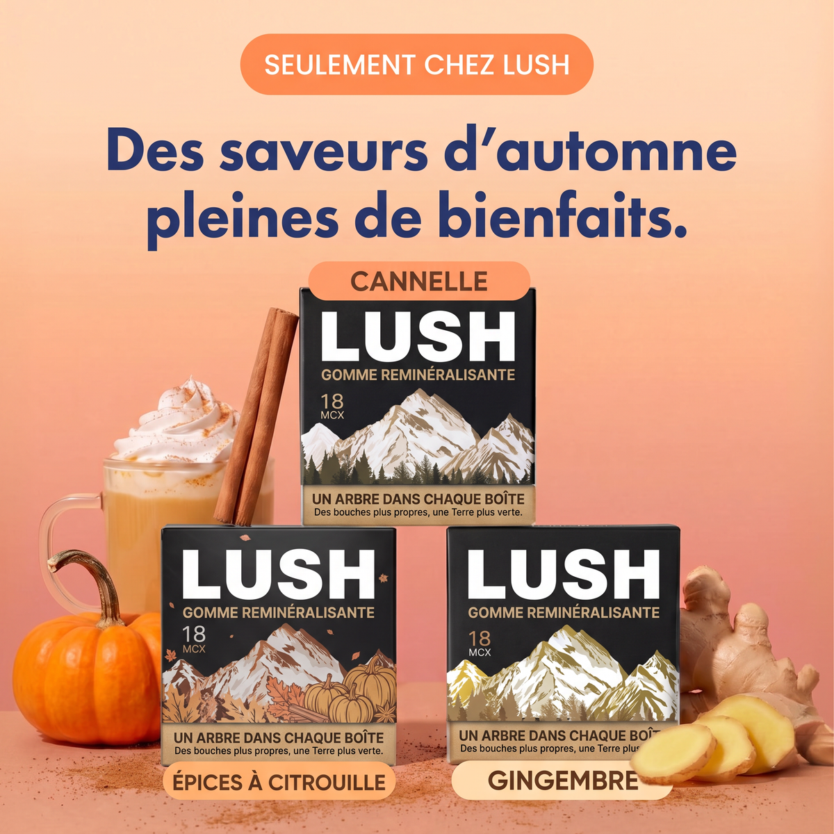 LUSH™ – Gomme reminéralisante