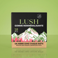 Melon d'eau