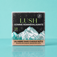 Menthe polaire