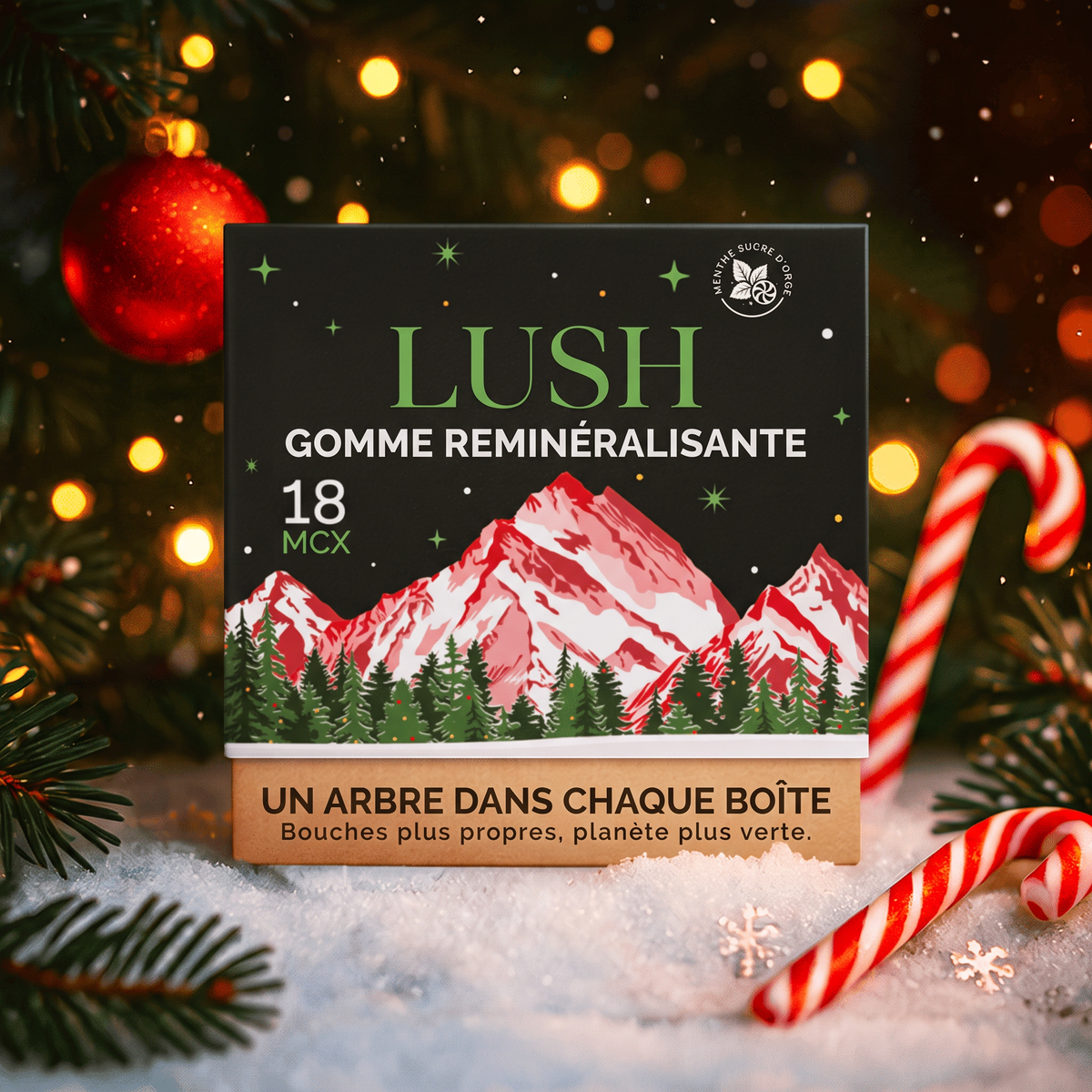 Menthe sucre d'orge